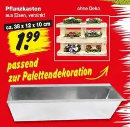 Repo Markt Pflanzkasten Angebot