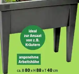 Thomas Philipps Hochbeet Angebot