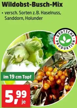 Thomas Philipps Wildobst-Busch-Mix Angebot