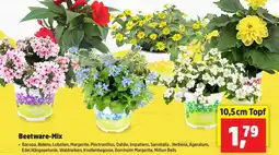 Thomas Philipps Beetware-Mix Angebot