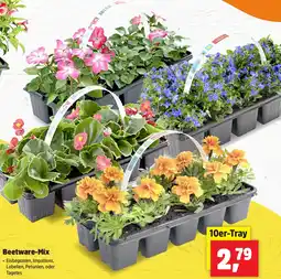 Thomas Philipps Beetware-Mix Angebot