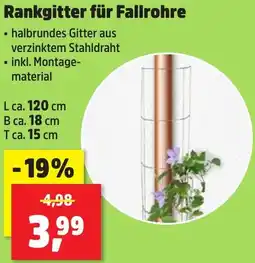Thomas Philipps Rankgitter für Fallrohre Angebot