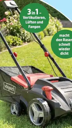 Thomas Philipps Scheppach Elektro Vertikutierer SC32 Angebot