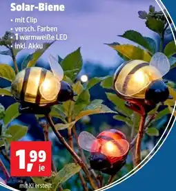 Thomas Philipps Solar-Biene Angebot