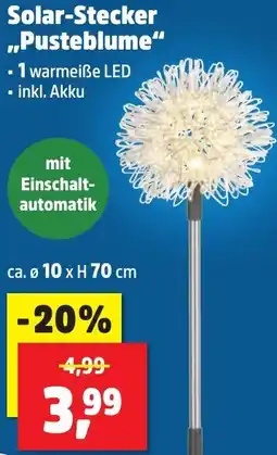 Thomas Philipps Solar-Stecker ,,Pusteblume" Angebot