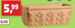 Thomas Philipps Terrakotta Pflanzkasten Angebot