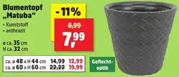 Thomas Philipps Blumentopf ,,Matuba" Angebot