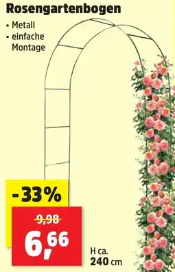 Thomas Philipps Rosengartenbogen Angebot