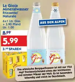 Hol'ab Getränkemarkt La Gioia Mineralwasser Frizzante/ Naturale Angebot