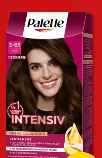 PENNY Poly Palette Intensiv Creme Coloration Schokobraun Angebot
