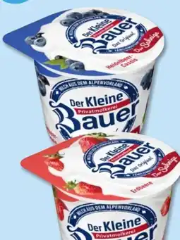 PENNY Bauer Sahne-Joghurt Angebot