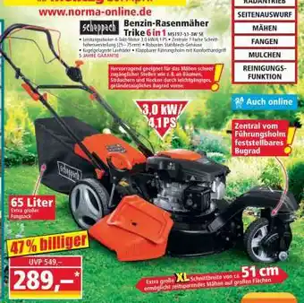 Benzin-Rasenmäher Trike 6in1