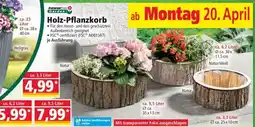 Norma Holz-Pflanzkorb Angebot
