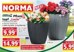 Norma Pflanztopf „Lacie“ Angebot