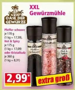 Norma XXL Gewürzmühle Angebot