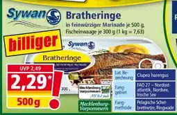 Norma Bratheringe Angebot