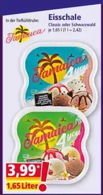 Norma Eisschale Angebot