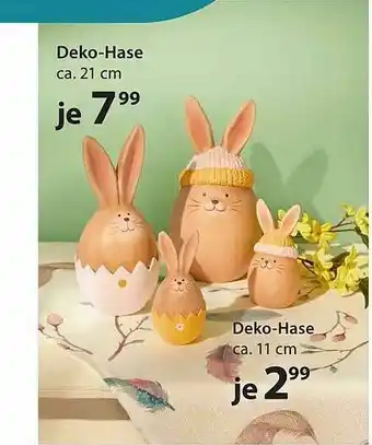 NKD Deko-hase Angebot