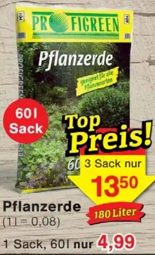 Wiglo Wunderland PROFIGREEN Pflanzerde Angebot