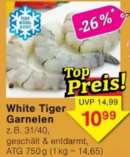 Wiglo Wunderland White Tiger Garnelen Angebot