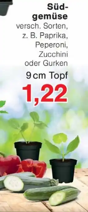 Wiglo Wunderland Südgemüse Angebot