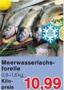 Wiglo Wunderland Meerwasserlachs forelle Angebot