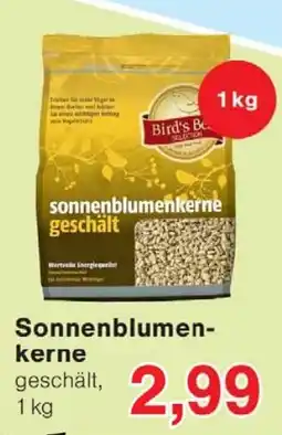 Wiglo Wunderland Bird's Best Sonnenblumenkerne Angebot