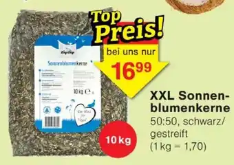 Wiglo Wunderland XXL Sonnenblumenkerne Angebot
