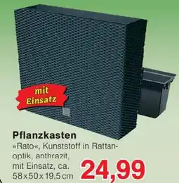 Wiglo Wunderland Pflanzkasten Angebot