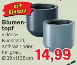 Wiglo Wunderland Blumentopf Angebot