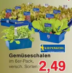 Wiglo Wunderland KIEPENKERL Gemüseschalen Angebot