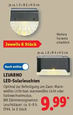 Lidl LIVARNO LED-Solarleuchten Angebot