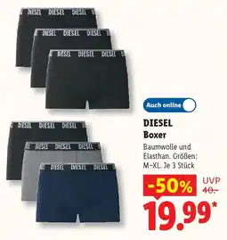 Lidl DIESEL Boxer Angebot