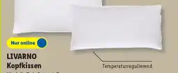 Lidl LIVARNO Kopfkissen Angebot