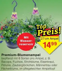 Wiglo Wunderland Premium-Blumenampel Angebot