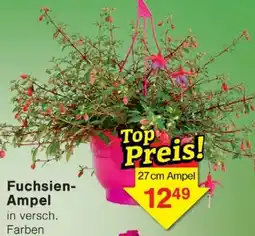 Wiglo Wunderland Fuchsien Ampel Angebot