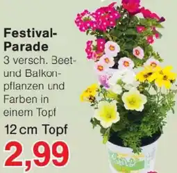 Wiglo Wunderland Festival Parade Angebot