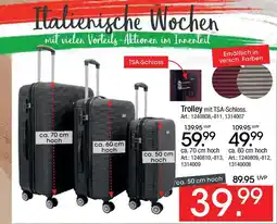 Zurbrüggen Trolley Angebot