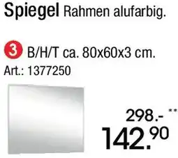 Zurbrüggen Spiegel Angebot