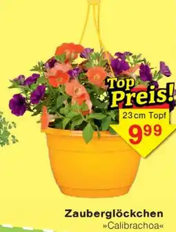 Wiglo Wunderland Zauberglöckchen Angebot