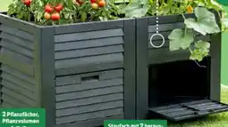 Thomas Philipps 2in1 Maxi-Hochbeet Angebot