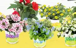 Thomas Philipps Beetwaren-Mix Angebot