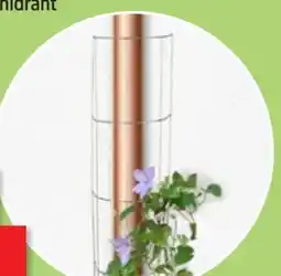 Thomas Philipps Rankgitter Angebot