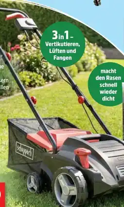 Thomas Philipps Scheppach Elektro-Vertikutierer und Rasenlüfter SC32 Angebot