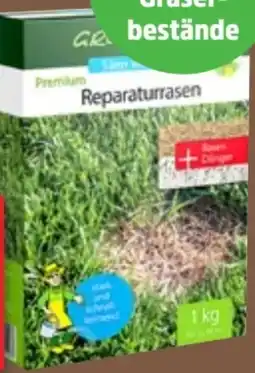 Thomas Philipps Grüner Jan Reparaturrasen Angebot