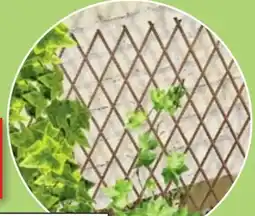 Thomas Philipps Weiden-Rankgitter Angebot