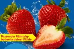 Lidl Erdbeeren Angebot