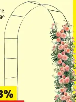 Thomas Philipps Metall-Rosengartenbogen Angebot