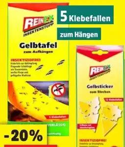 Thomas Philipps Reinex Gelbsticker Angebot