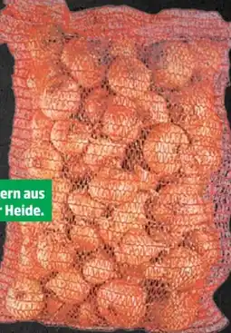 Thomas Philipps Speisezwiebeln XXL Angebot